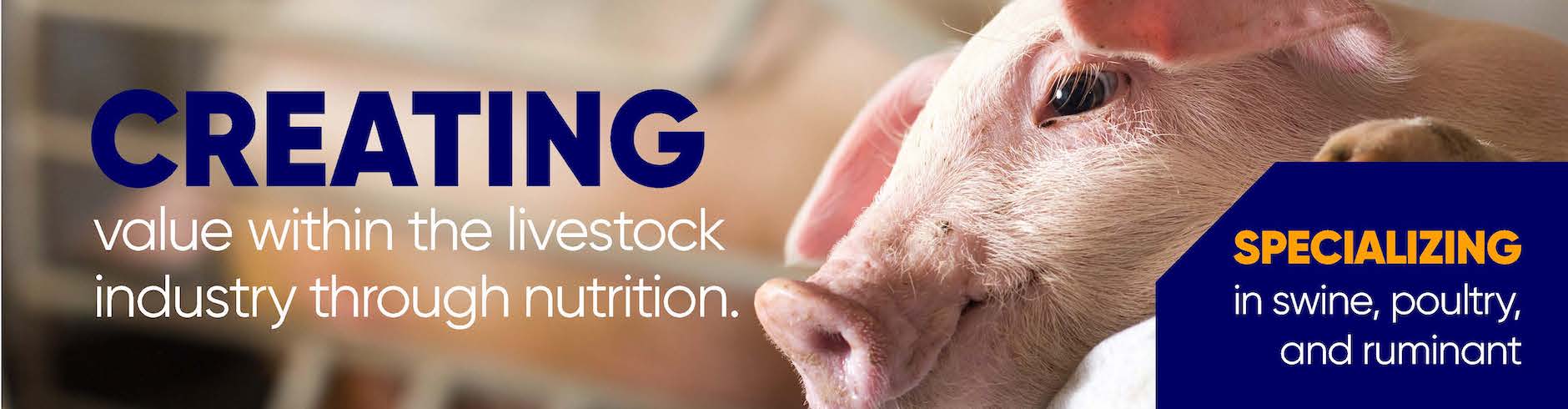 Devenish Nutrition - The Agri-technology Company supplying Animal Feeds