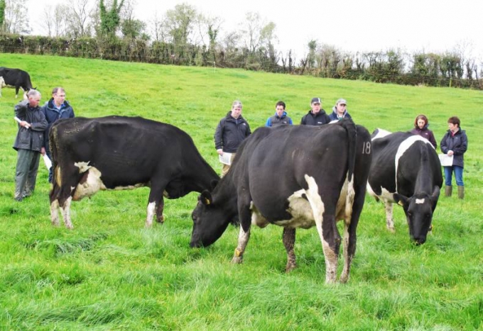 Dairylink: Plans are put in place for 2016 following a review of 2015 financial performance